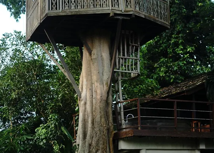 Tree House ホリデーパーク ウブド