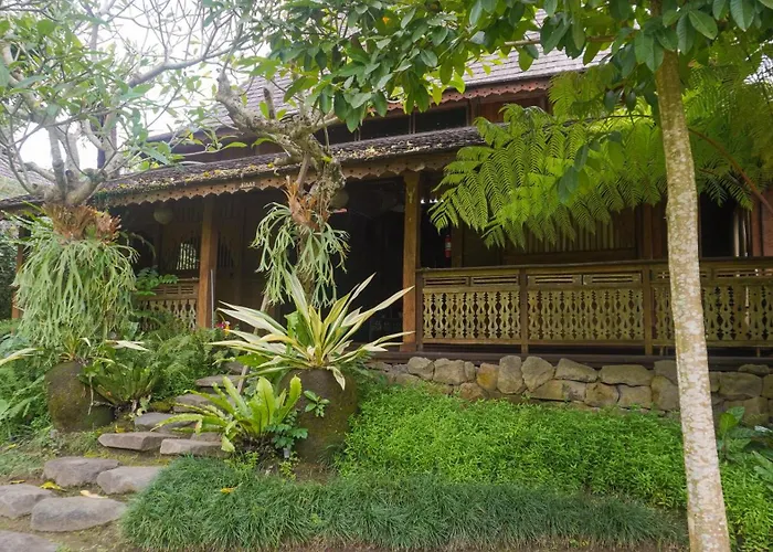 Tree House 4*