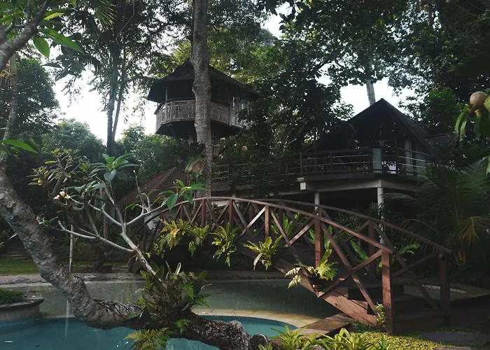 Tree House ウブド