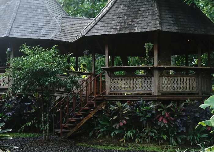 Tree House 4* ウブド