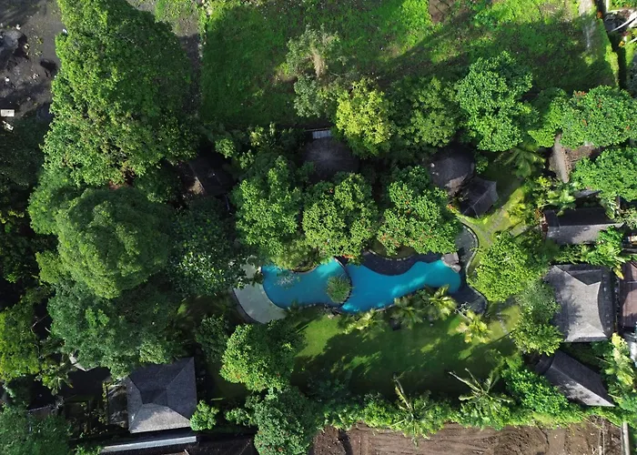 Tree House ホリデーパーク