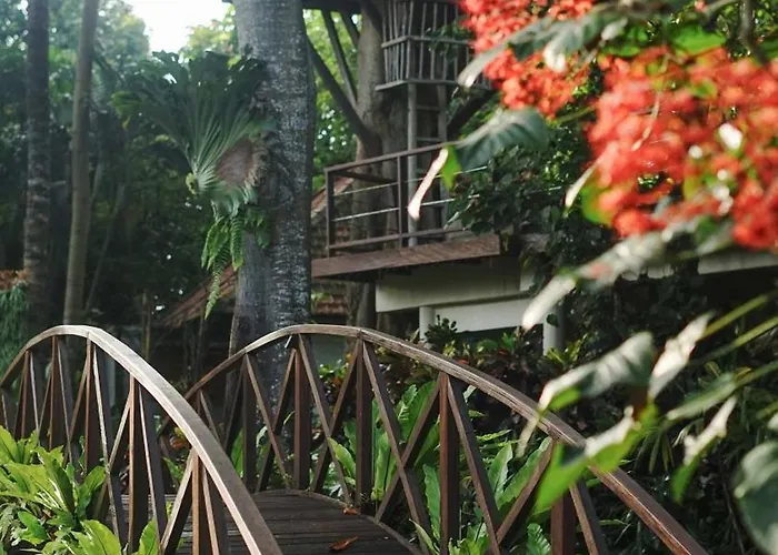 ホリデーパーク Tree House ウブド