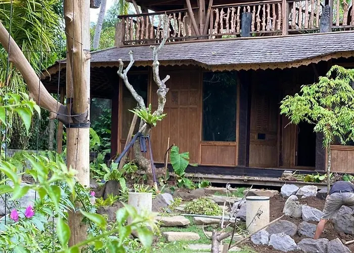 Tree House
